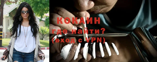 дживик Михайловск