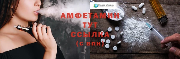 твердый Михайлов