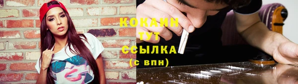 дживик Михайловск