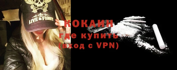 твердый Михайлов