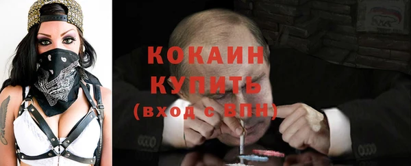 твердый Михайлов