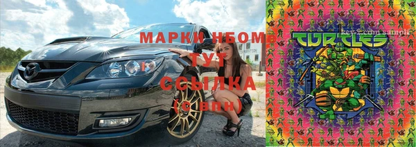 твердый Михайлов
