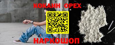 крисы Будённовск