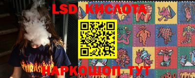 крисы Будённовск