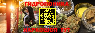 кокс Лесосибирск