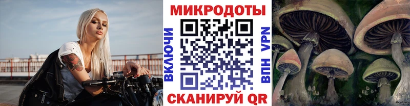 дарк нет телеграм  Черкесск  Псилоцибиновые грибы мухоморы  наркошоп  OMG зеркало 