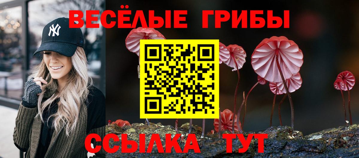 Черкесск  Галлюциногенные грибы мицелий  Псилоцибиновые грибы мухоморы  Вход с VPN 